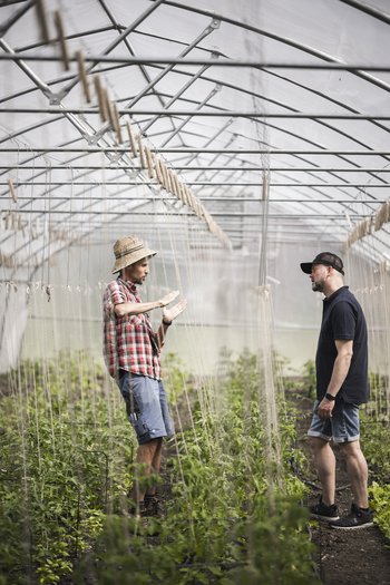 Weekly programme of the “Wanderhotels Südtirol” Two men talking in a greenhouse surrounded by plants.