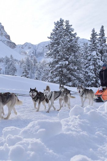 Il nostro hotel sulle piste a San Vigilio di Marebbe Slitta trainata da sei cani husky in paesaggio invernale innevato con conducente