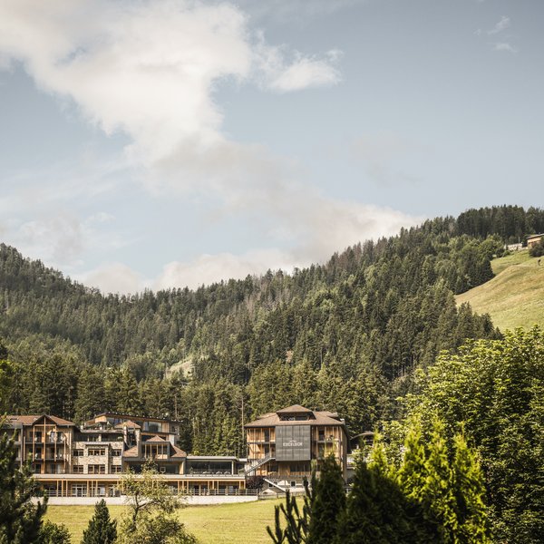 Wellnesshotel in Südtirol: Auf in den Traumurlaub! Hotel Excelsior umgeben von Wäldern und Hügeln bei sonnigem Wetter